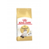 Royal Canin 法國皇家貓乾糧 - 布偶成貓專屬配方 10kg